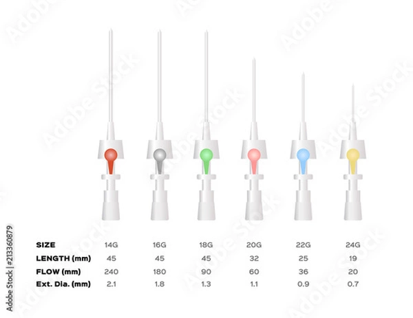 Obraz Cannula set vector