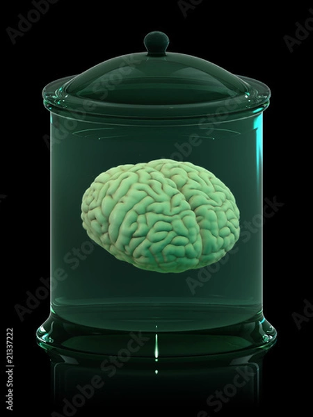 Obraz Brain in jar on black background