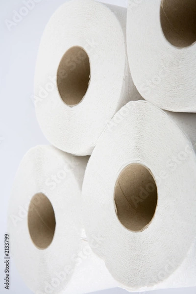 Fototapeta toilet paper