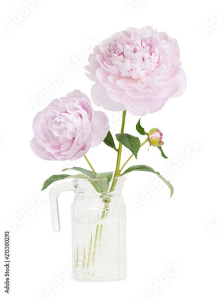 Fototapeta Peony