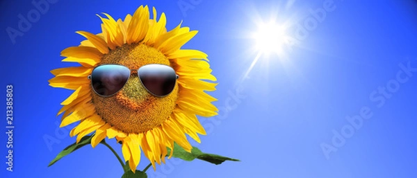 Obraz Sonnenblume mit Sonnenbrille