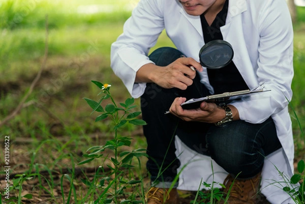 Obraz Biologist in white coat holding document in front of examining plants for disease . Plant protection concept.
