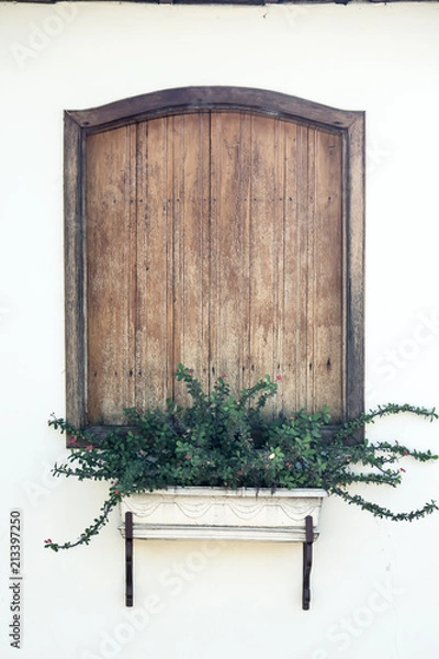 Obraz janela com jardineira