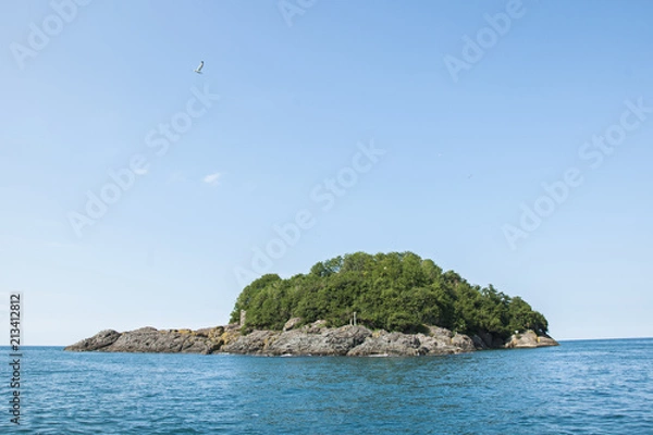 Fototapeta Giresun island aka amazon island in giresun city of turkey's Black Sea region