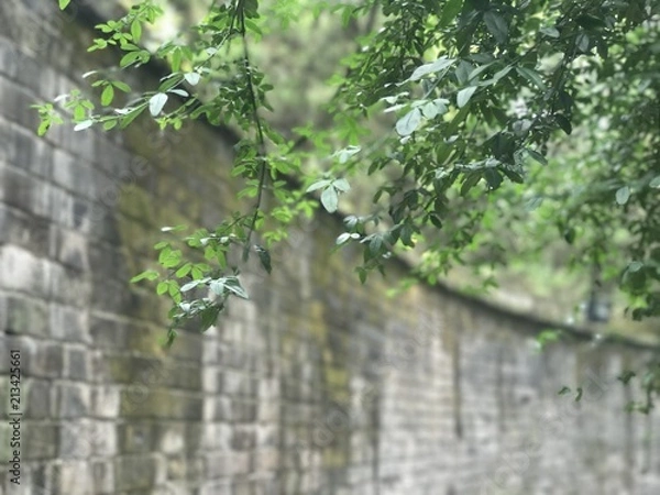 Obraz 中国　四川省　成都　武侯祠