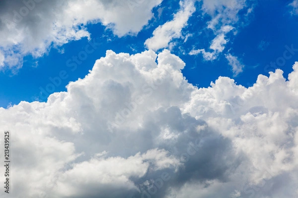 Fototapeta 夏の青空