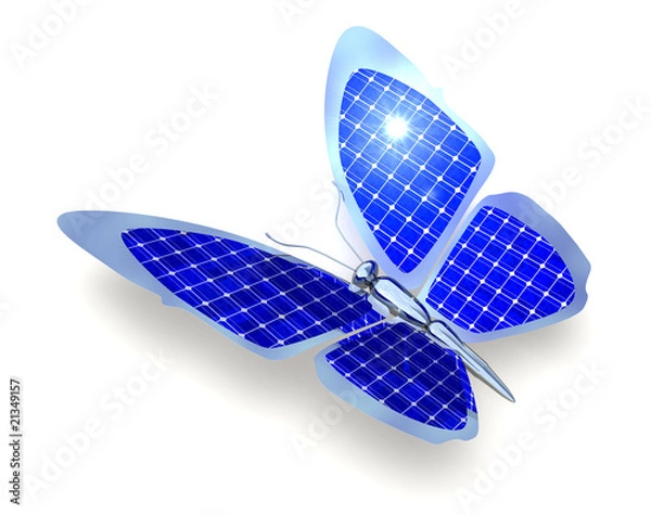 Obraz Solarschmetterling