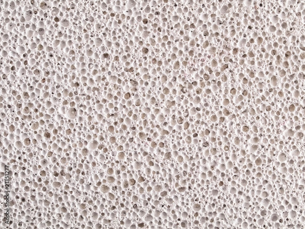 Obraz Sponge background