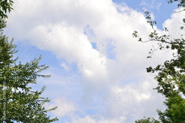 Obraz sky, clouds, tree, blue, nature, cloud, landscape, summer, white, green, day, trees, weather, sun, cloudy, spring, cloudscape, grass, forest, beautiful, field, fluffy, season, light, meadow