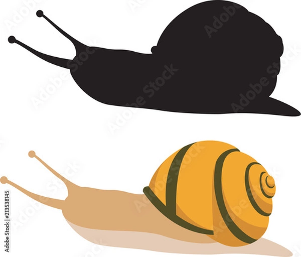 Fototapeta snail vector illustration  flat style black silhouette 