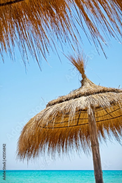Obraz Sunshades on the beach