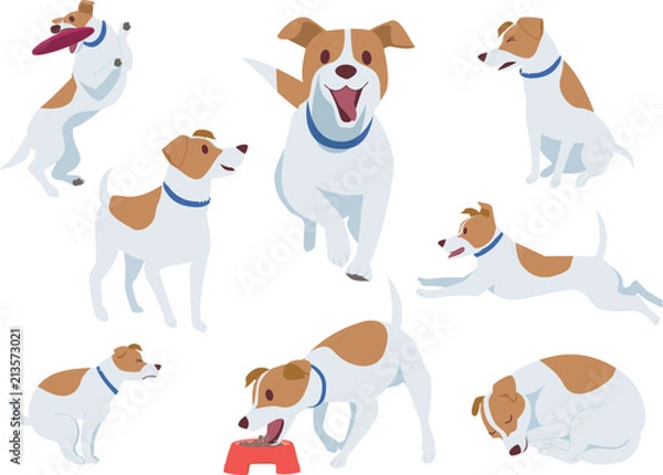 Fototapeta 犬_ジャックラッセルテリア