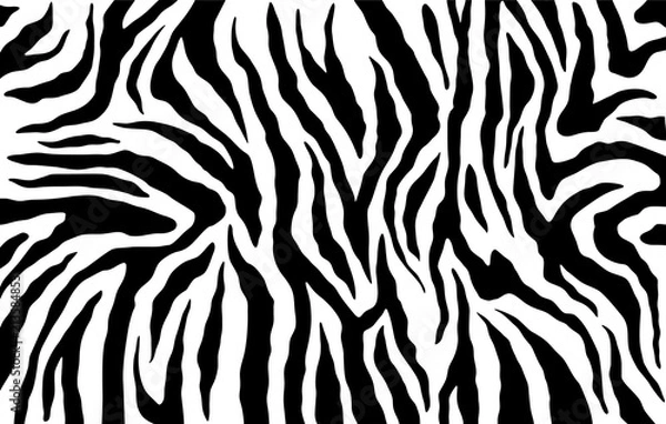 Fototapeta Zebra skin, stripes pattern. Animal print. Black and white background. Vector texture.