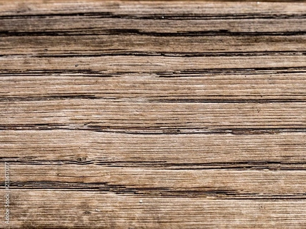 Obraz wooden texture