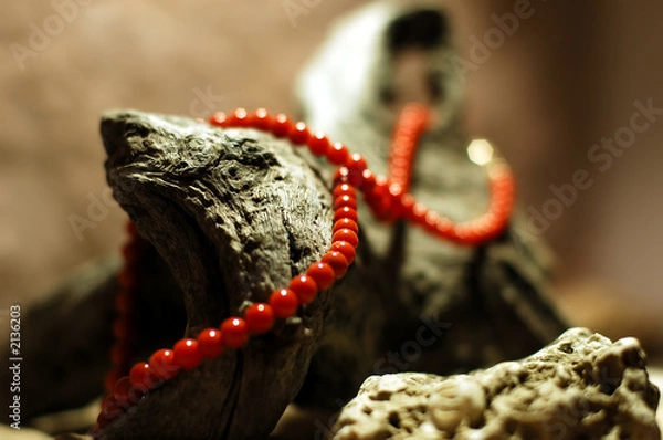 Obraz coral necklace