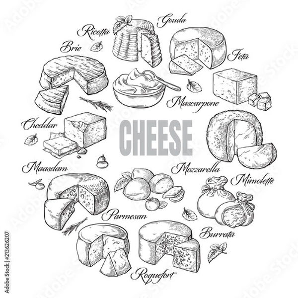 Fototapeta circular background of different cheese top view Vector illustration