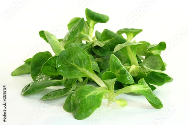 Fototapeta Roszponka