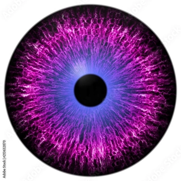 Obraz Purple eye texture with white background