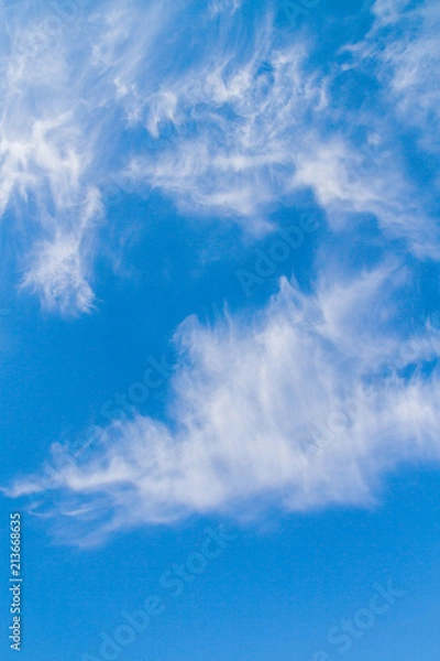 Obraz White feathery clouds on the blue sky in summer