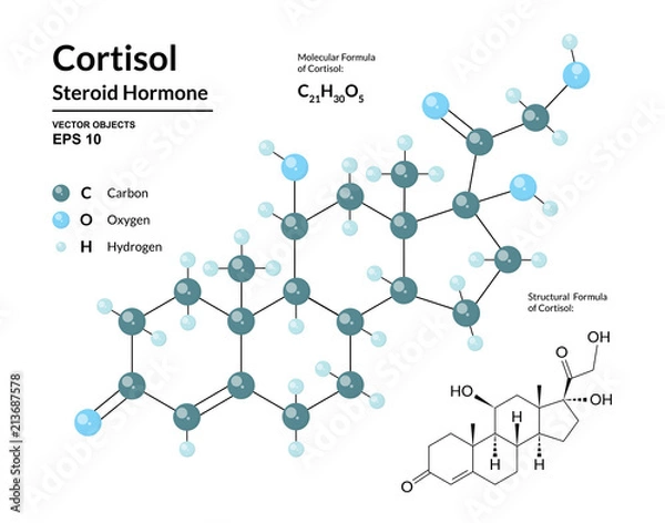 Fototapeta Cortisol. Steroid Hormone. Structural Chemical Molecular Formula and 3d Model of Stress Hormone. Atoms are Represented as Spheres with Color Coding. Vector Illustration