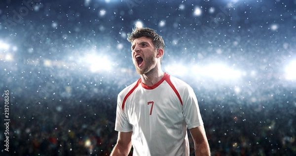 Obraz Soccer player celebrates a victory on the professional stadium while it’s snowing.