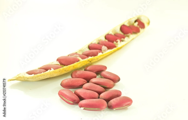 Fototapeta Red Sword Bean