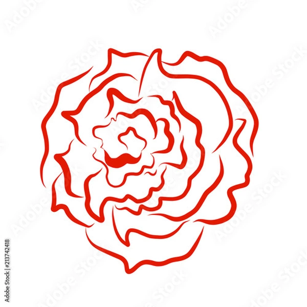 Fototapeta Sketch line drawing of rose isolated illustration on white background