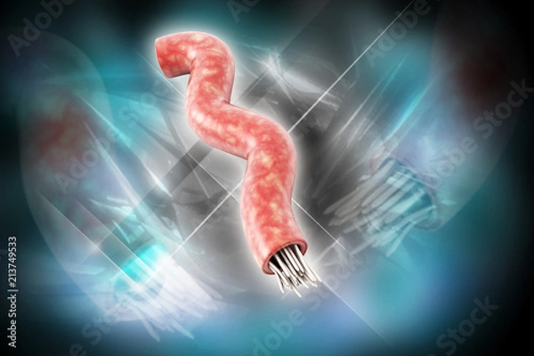 Fototapeta 3d rendered tapeworm isolated on color background