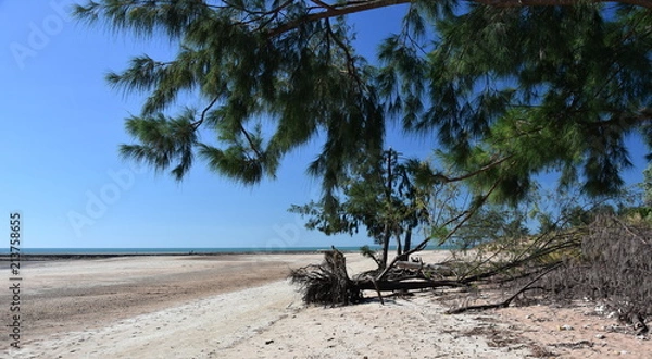 Fototapeta Lee Point beach at low tide. Lee Point in the  northern suburb of the city of Darwin, Northern Territory, Australia is a well-developed picnic and recreation area.