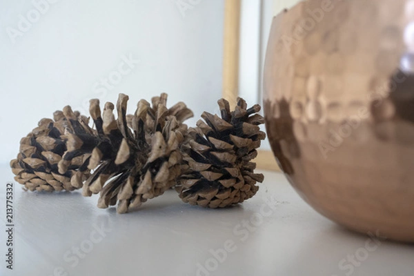 Obraz Pine cones on shelf