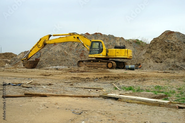 Obraz excavator