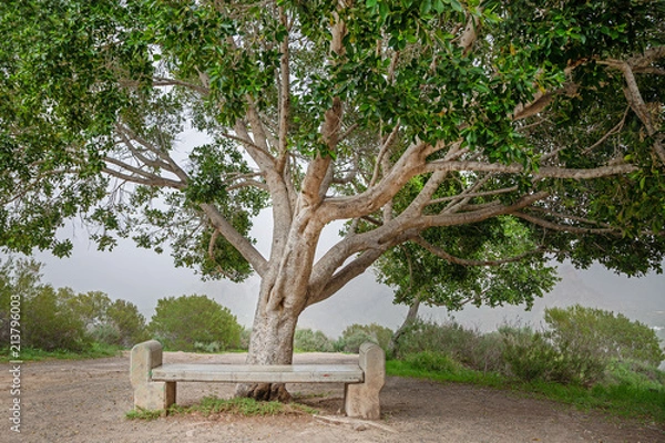 Obraz Gran Canaria