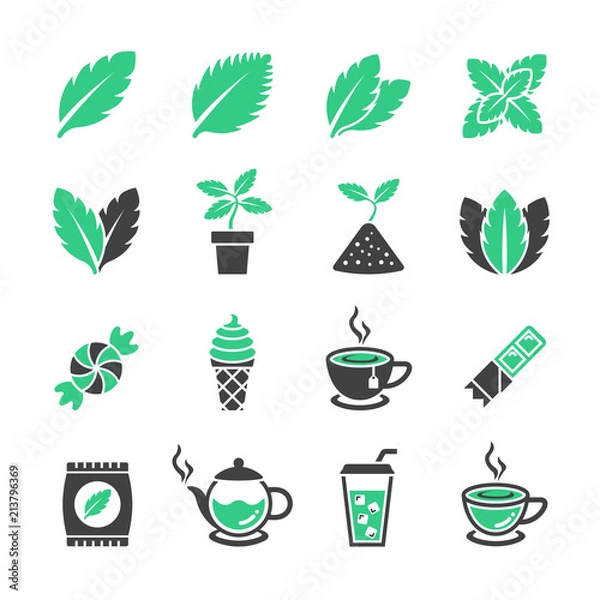 Fototapeta Mint icon set