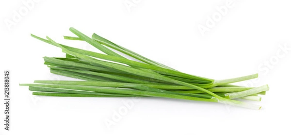 Obraz Garlic chives isolated on white background