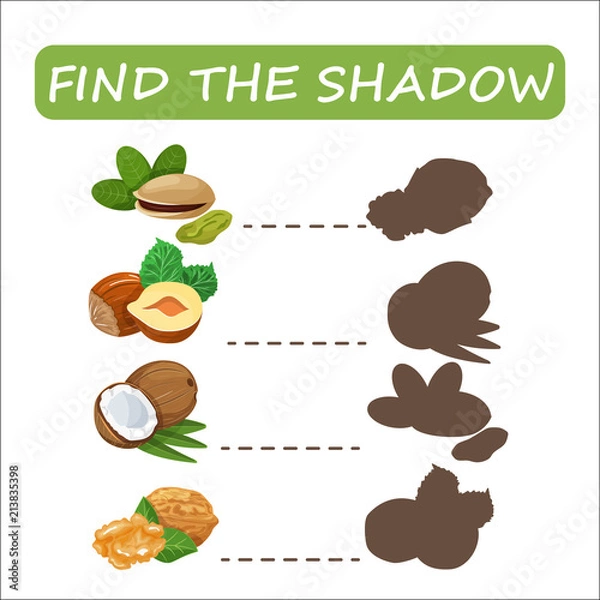 Obraz Find the correct shadow nuts