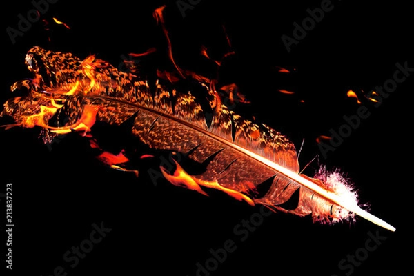 Fototapeta pióro w ogniu na czarnym tle