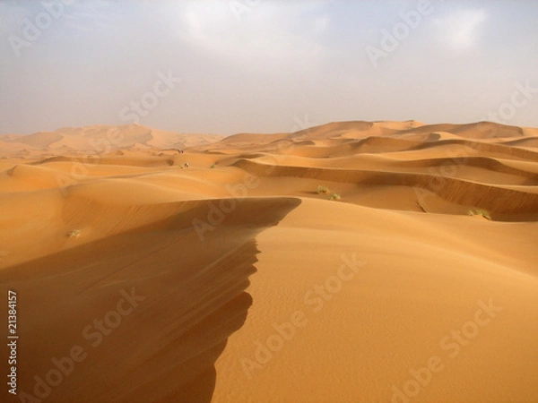 Obraz Leute in der WÜste