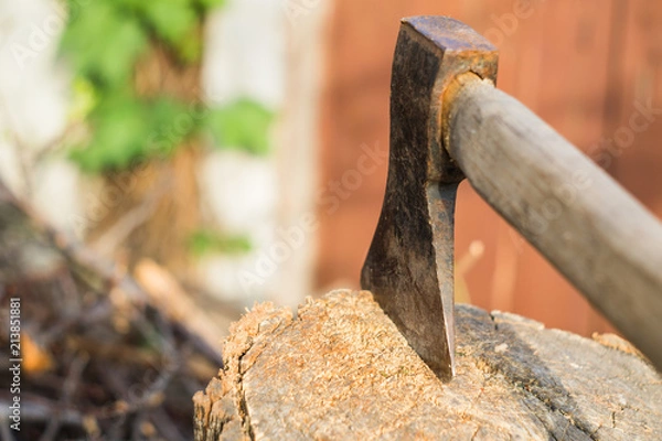 Obraz Old ax and log