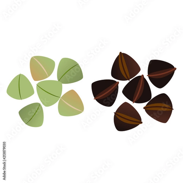 Fototapeta 蕎麦の実