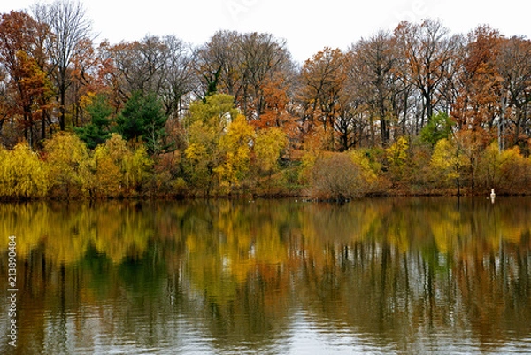 Fototapeta Different images of Fall