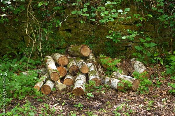 Fototapeta Log Pile