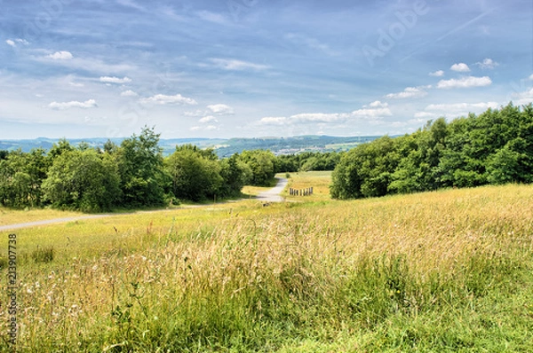 Fototapeta Long Grass