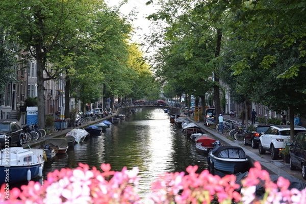 Obraz Amsterdam, Pays-Bas