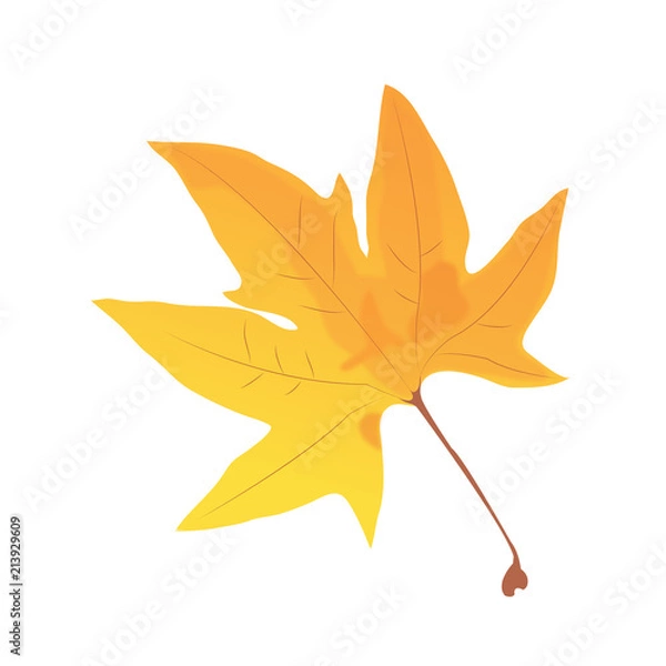 Fototapeta Gelbes Blatt