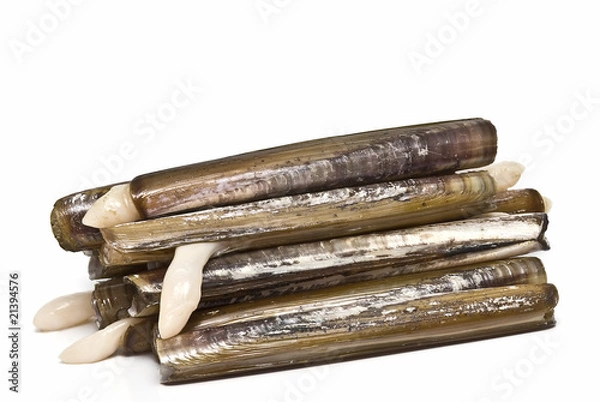 Obraz Żywe brzytwy.