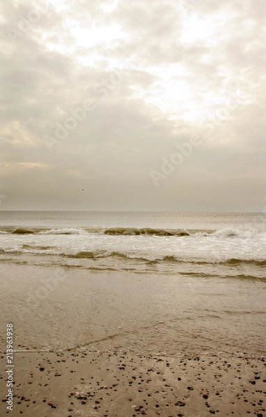 Obraz North Sea beach in Denmark at cloudy day.