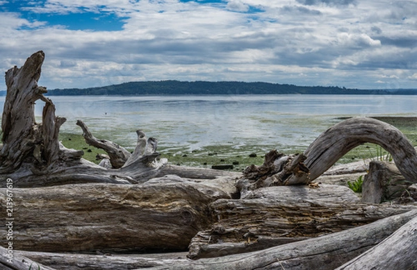 Obraz Ocean Low Tide Landscape 3