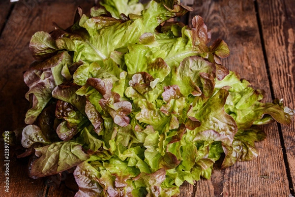 Fototapeta Salatkopf Eichblatt auf Holztisch Rustikal	