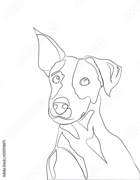 Fototapeta dog portrait, lines, vector
