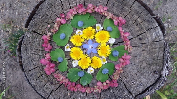 Obraz Landart Mandala